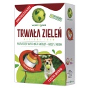 Copy of WORLD-2019-trwala