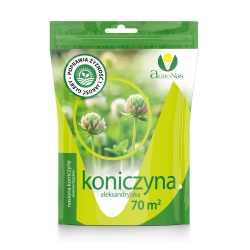 Koniczyna aleksandryjska