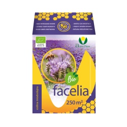 Facelia błękitna
